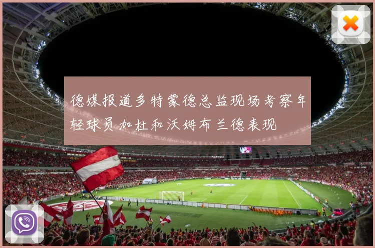 德媒报道多特蒙德总监现场考察年轻球员加杜和沃姆布兰德表现