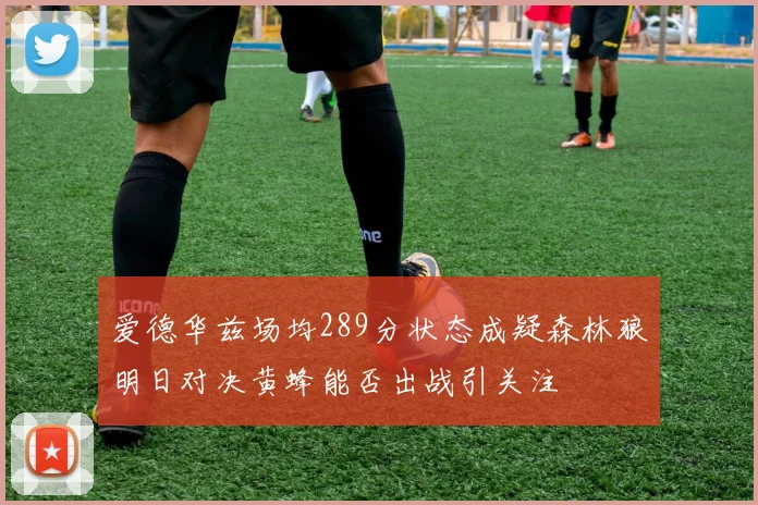 爱德华兹场均289分状态成疑森林狼明日对决黄蜂能否出战引关注